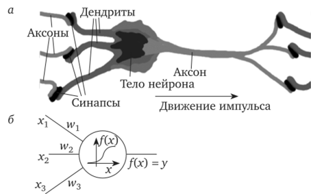 П.6. Биологический и искусственный нейроны.