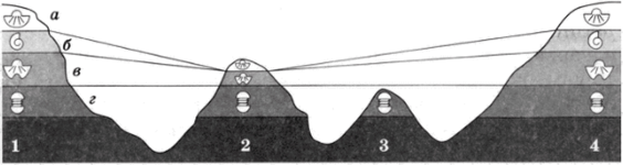Сопоставление разрезов палеонтологическим методом. Во 2-м разрезе отсутствует слой б, в 3-м разрезе отсутствуют слои а, б, в. В 1-м и 4-м разрезах представлены все слои.