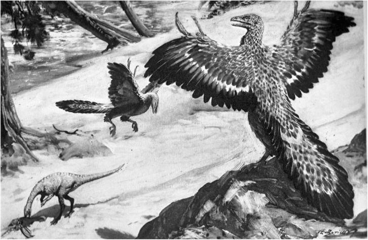 Археоптерикс (Archaeopteryx lithographica).