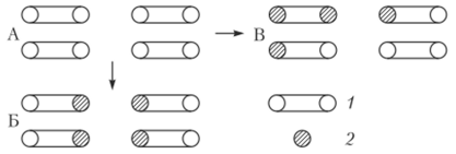 Условный пример различия между глубиной превращения реакционных центров р и глубиной превращения по мономеру р.