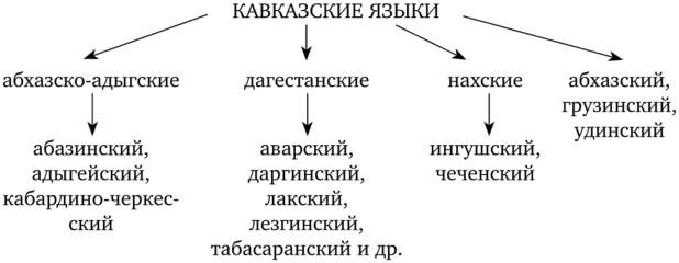 Кавказские языки в языковой картине мира региона.