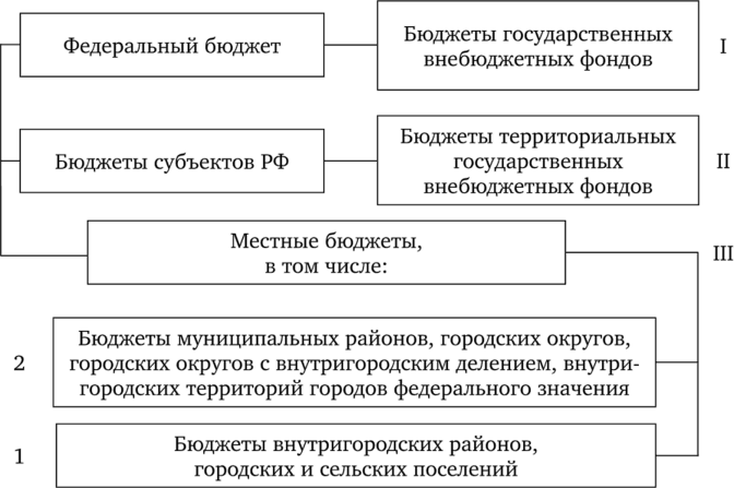 Структура бюджетной системы Российской Федерации.
