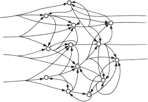 Нейронная квантовая сеть, состоящая из каналов возбуждения (стрелка —») и гашения (стрелка н»).