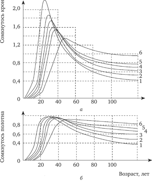 Возрастная динамика сомкнутости крон (а) и сомкнутости полога (б) одноярусных еловых древостоев различной начальной густоты (в возрасте 5 лет), тыс. экз./га, около.