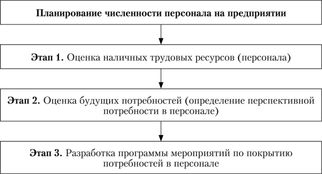 Основные этапы процесса планирования численности.