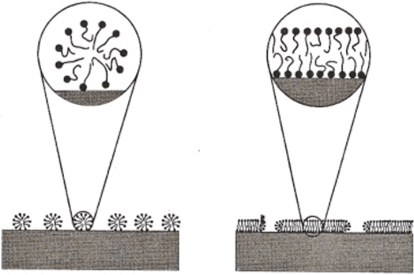 Модель са.моассоциации на поверхности в дискретные мицеллы.