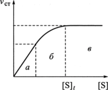 Общий вид зависимости стационарной скорости протекания ферментативной реакции (v) от концентрации субстрата ([S]) при постоянной концентрации фермента.
