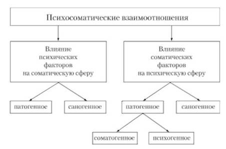 Схема психосоматических соотношений (В. В. Николаева, 1987).
