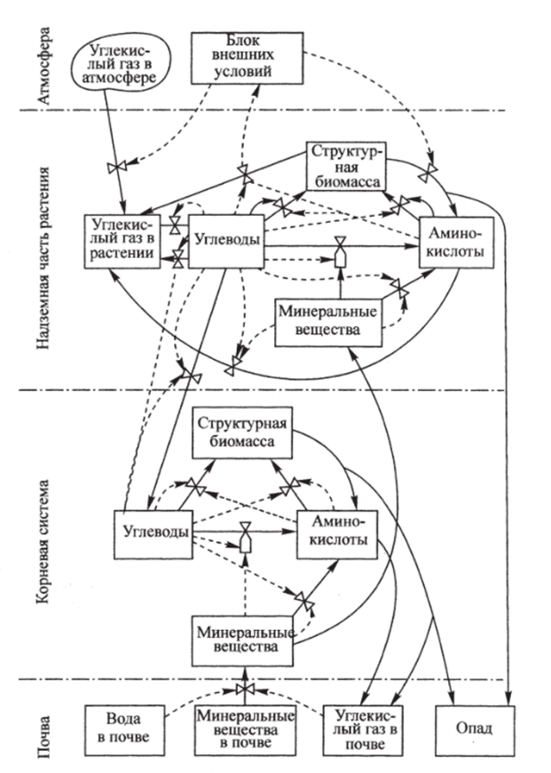 Схема метаболизма растений (Бондаренко и др., 1982).