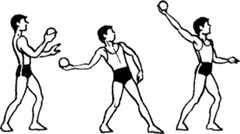 Обучение технике метания малого мяча в цель. И.п.: ученик стоит в стойке лицом к мишени, ноги на ширине плеч или чуть шире, левая впереди, правая на передней части стопы, мяч в правой, несколько согнутой руке, кисть на уровне лица, левая рука вперед-вниз. Отводя правую руку вправоназад и слегка сгибая правую ногу, наклонить (незначительно) туловище вправо, упираясь при этом стопой прямой левой ноги (носок развернут несколько внутрь) в площадку. Из этого положения, быстро разгибая правую ногу и перенося массу тела на левую, выполнить бросок, пронося кисть правой руки над плечом.