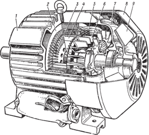 Конструктивное исполнение асинхронного двигателя с короткозамкнутым ротором.