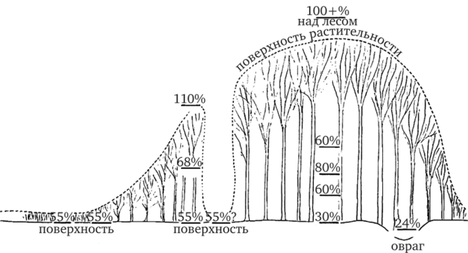 Диаграмма, показывающая изменения испаряющей силы воздуха под влиянием растительности леса и прерии. Из Эдамса.