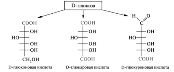 Физико-химические свойства моносахаридов.