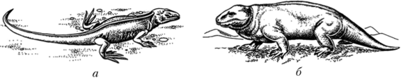 Предковые формы рептилий.
