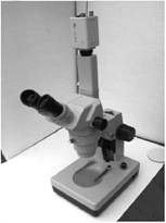Микроскоп стереоскопический GL99TI.
