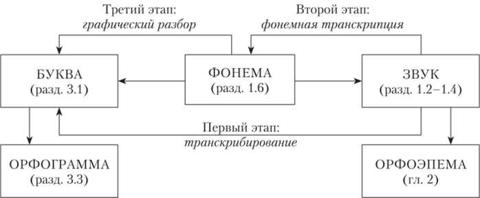 Схема изучения фонетики современного русского литературного языка.