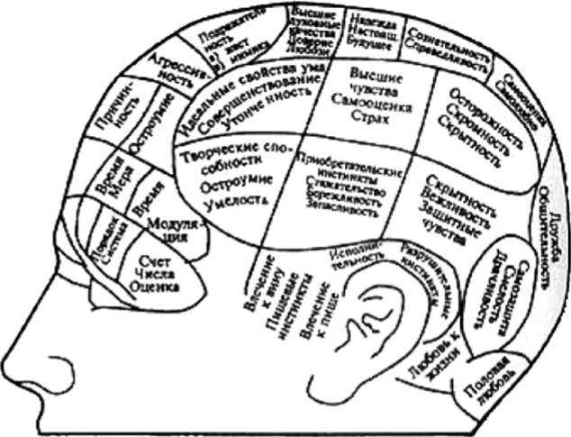 Френологическая карта психических способностей.
