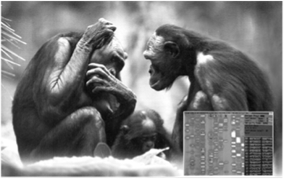 Бонобо — вид современных шимпанзе, характеризующийся выраженным сходством с австралопитеками.