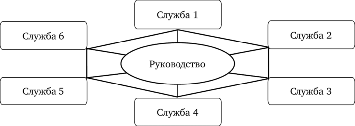Организационная структура управления «паутина».