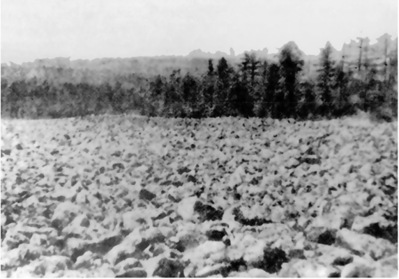 Каменные россыпи (курумы) на плоской вершине (Чульманская впадина. Фото А. И. Тюрина).