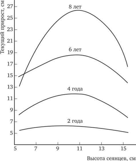 Зависимость прироста в высоту от высоты посадочного материала ели (по М. Д. Мерзленко и Ю. Г. Гуртяченко, 1990).