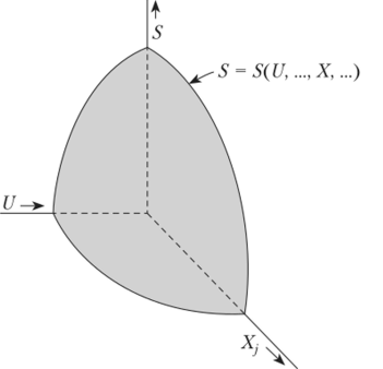Гиперповерхность S = S (U, ..., Xj, ...) в конфигурационном пространстве простой системы.