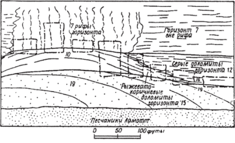 Характер распространения минерализации в пределах комплекса баровых рифов на месторождениях типа долины Миссисипи в США (по Ф. Снайдеру.