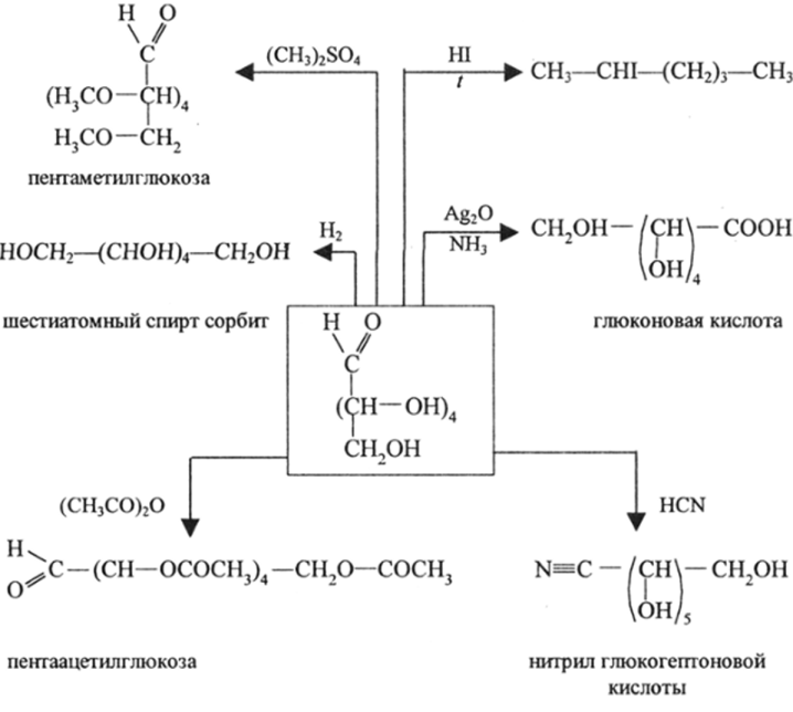 Моносахариды. Органическая химия в 2 ч. Часть 2.