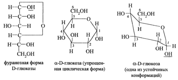 Моносахариды. Органическая химия в 2 ч. Часть 2.