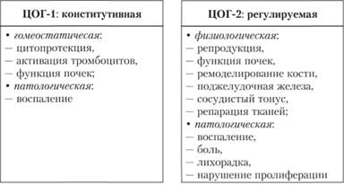 Функциональная активность ЦОГ-1 и ЦОГ-2.