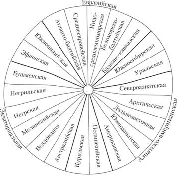 Схематическое изображение расовой классификации Я. Я. Рогинского и М. Г. Левина.