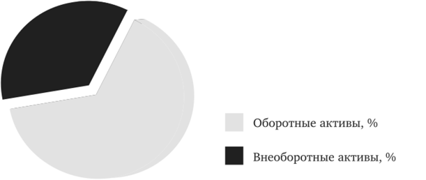Диаграмма структуры активов магазина «Лента» в 2016 г.