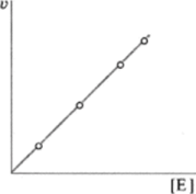 Зависимость скорости реакции v от концентрации фермента Е.