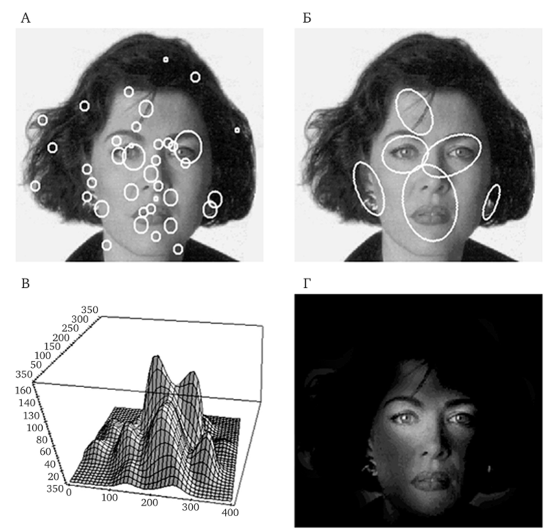 Различные способы представления результатов регистраций движений глаз.