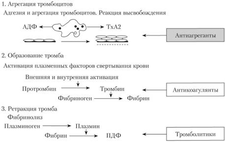 Фазы гемостаза и точки приложения антитромботических средств.