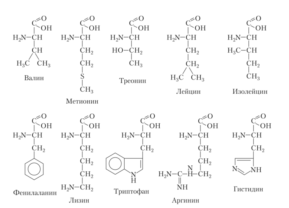 Химические формулы незаменимых аминокислот.