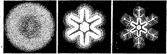 Постепенный рост кристаллов йодоформа в опытах Лемана.