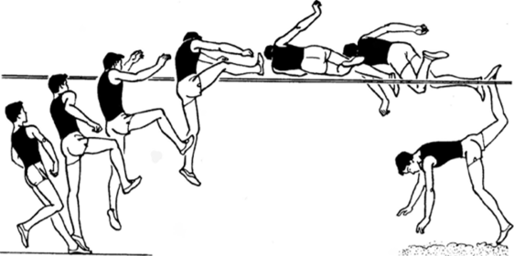 Основы техники прыжка в высоту способом «перекат» (контурограмма).