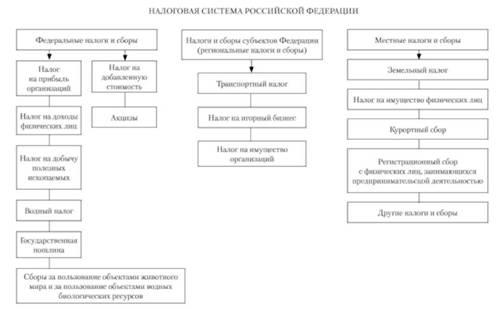 Структура налоговой системы Российской Федерации.
