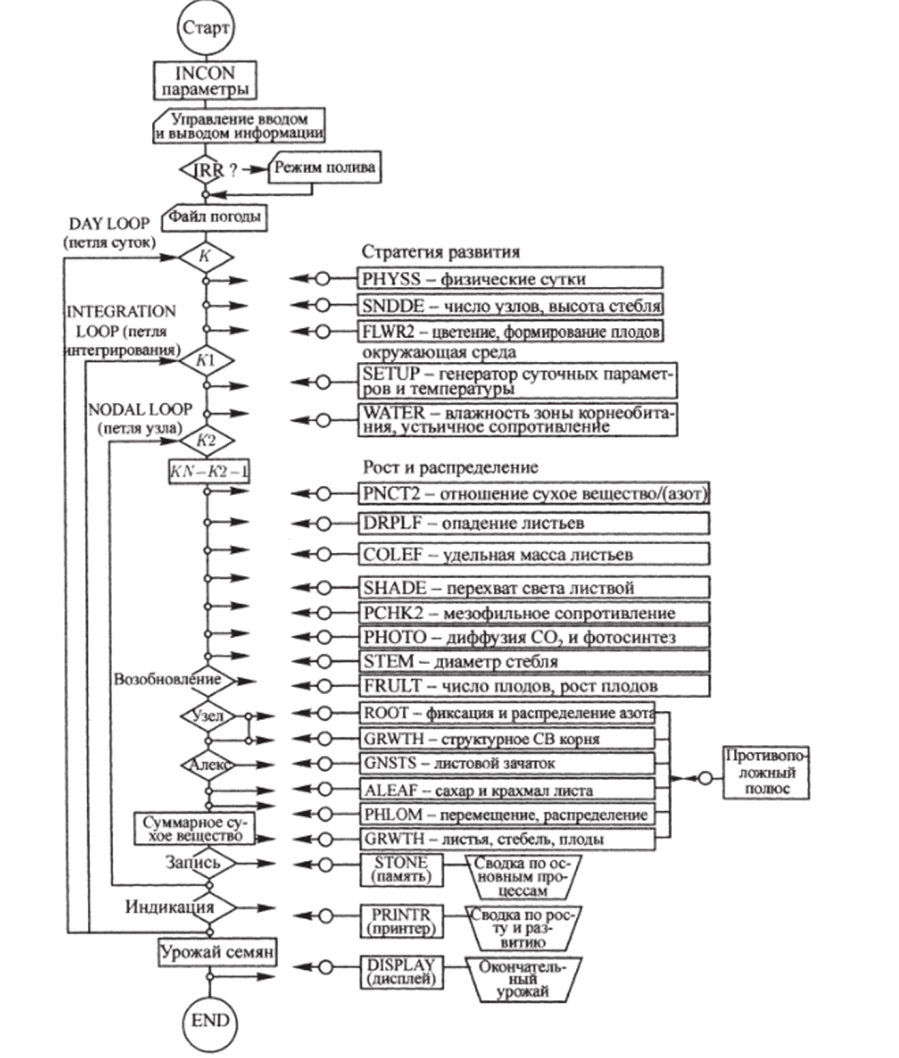 Упрощенная схема алгоритма функционирования модели SOYMOD (Франс, Торнли, 1987).