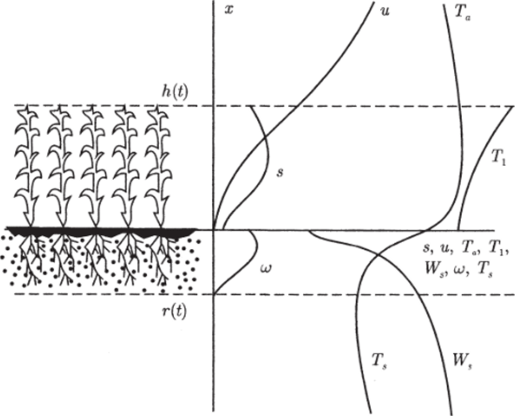 Вертикальное распределение переменных в модели СИМОНА (Заславский, Полуэктов, 1988).