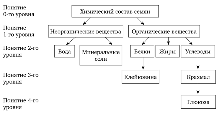 Граф логической структуры понятия «Химический состав семян».