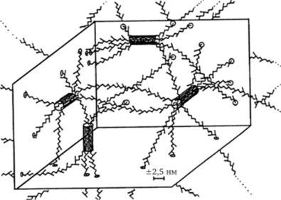 Схематическая модель ассоциации молекул галактоманнанов камеди рожкового дерева при гелеобразования.