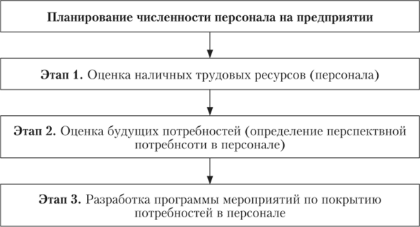 Основные этапы процесса планирования численности.