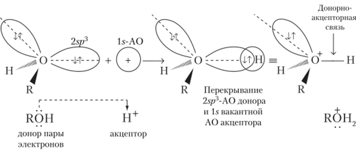 Образование донорно-акцепторной связи на примере протонирования спирта.