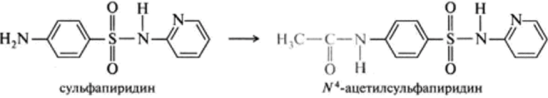 Конъюгация с глицином и другими аминокислотами является характерной метаболической реакцией ароматических карбоновых кислот, таких, как бензойная и гетероциклические карбоновые кислоты. Механизм пептидной конъюгации заключается в образовании коэнзим-А-производных чужеродных карбоновых кислот, которые взаимодействуют с глицином. В результате образуется гиппуровая кислота и выделяется свободный коэнзим А: