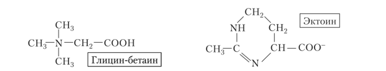 Структурные формулы глицина-бетаина и эктоина.