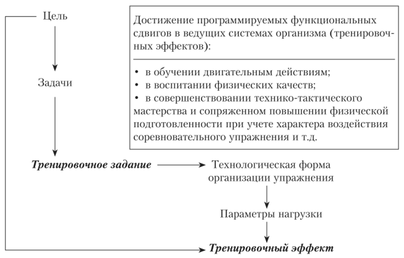 Структура тренировочного задания (Г. Н. Германов, 2011—2017).