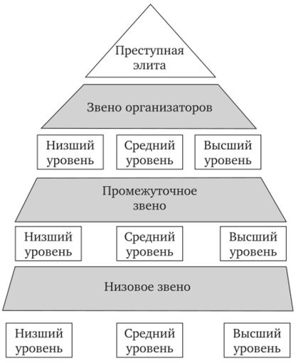 Функционально-иерархическая структура организованной.