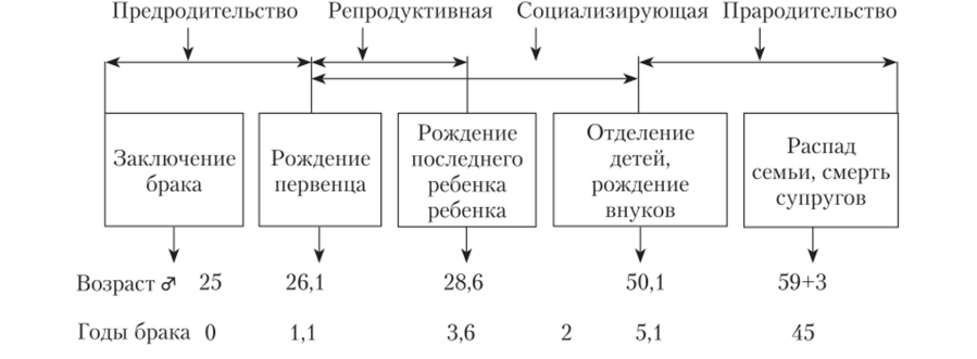 Продолжительность стадий жизненного цикла семьи для российских семейи для российских семей.